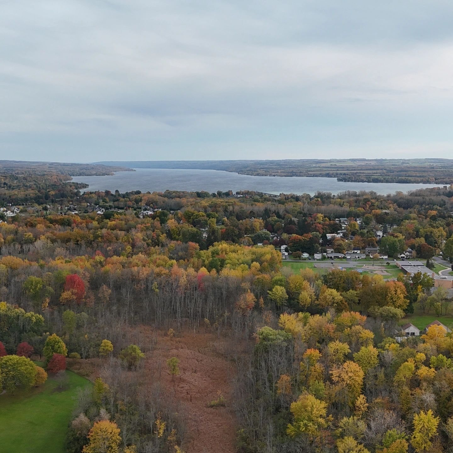 Aerial drone photograph captured by Curiosity Drone Solutions